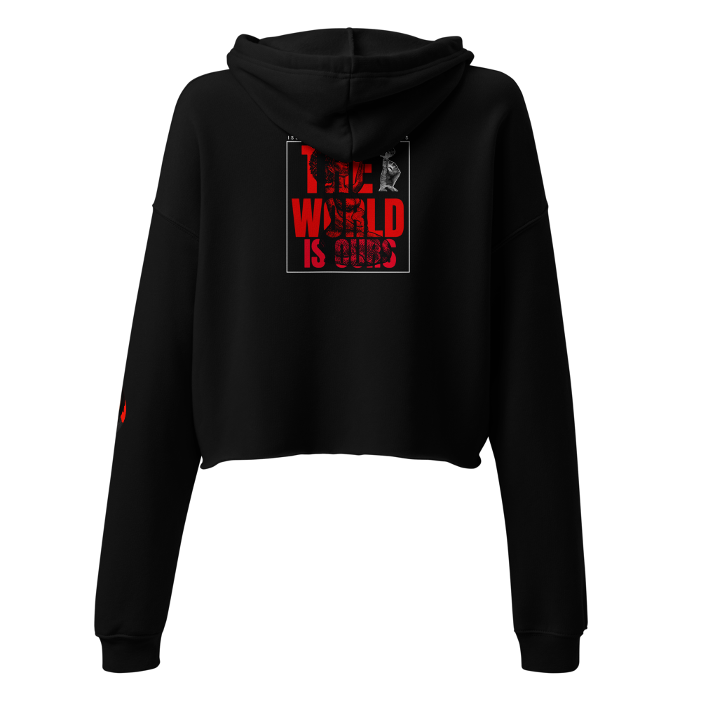 Is Ours Female Crop Hoodie